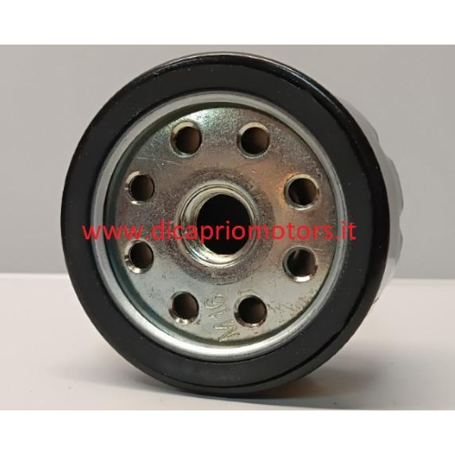 FILTRO NAFTA GASOLIO MOTORE RUGGERINI RF80 - 140/RD180-120