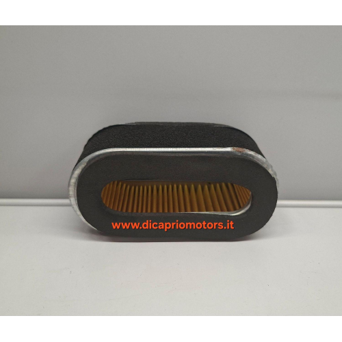 FILTRO ARIA RASAERBA VALGARDEN RS 520 CON MOTORE JET POWER 160 cc