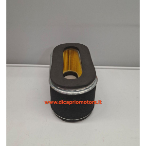 FILTRO ARIA RASAERBA VALGARDEN RS 520 CON MOTORE JET POWER 160 cc