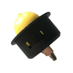 PRIMER POMPETTA ARIA CARBURATORE PER RASAERBA CINA E ASIA IMPORT