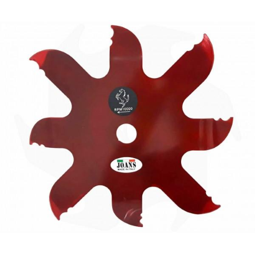 JOANS L'ORIGINALE DISCO UNICO ANTICATENA DECESPUGLIATORE Ø 300x2,6 MM FORO 25 MM