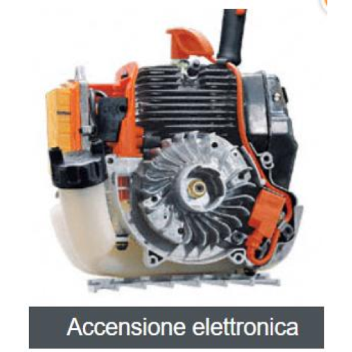 STIHL Decespugliatore FS 55 R con Omaggio Olio HP SUPER100 ml e Cappellino Originale